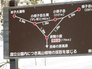 IMG_8346.JPG