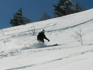 IMG_8381.JPG
