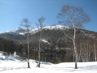IMG_8398.JPG