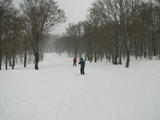 IMG_8401.JPG