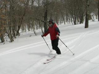 IMG_8557.JPG