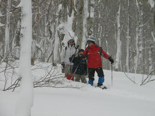 IMG_8580.JPG