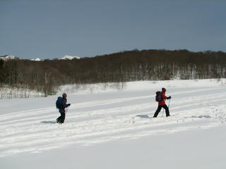 IMG_8585.JPG
