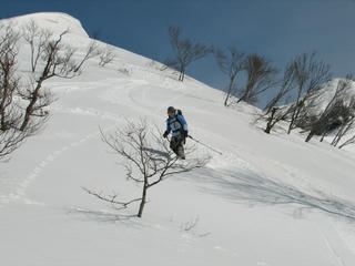 IMG_8713.JPG