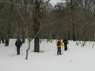 IMG_8792.JPG
