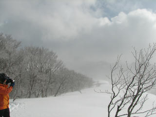 IMG_8799.JPG
