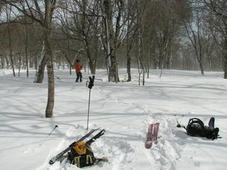 IMG_8801.JPG