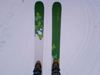 20090309102026.jpg