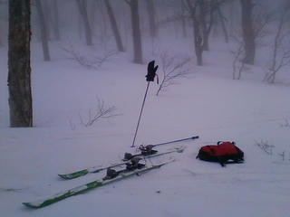 20090309120020.jpg
