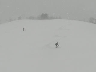 IMG_8871.JPG