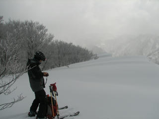 IMG_8878.JPG