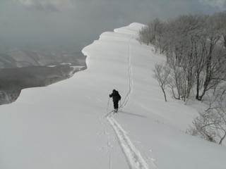 IMG_8880.JPG
