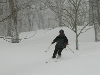 IMG_8892.JPG