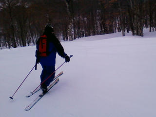 20090313113049.jpg