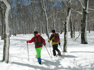 IMG_8905.JPG