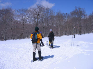 IMG_1406.jpg
