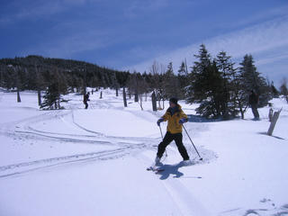 IMG_1414.jpg