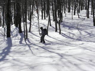 KIF_8692.JPG