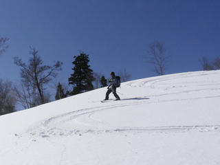 KIF_8693.JPG