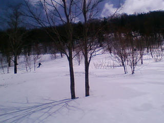 20090405125405.jpg