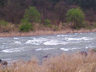 20090417114725.jpg