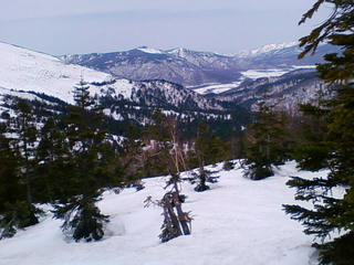 20090424115155.jpg