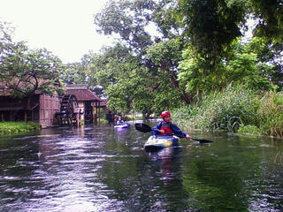 20090621111535.jpg