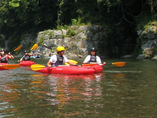 IMG_9884.JPG