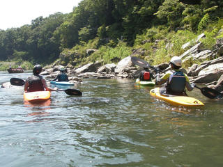 P8160003.JPG