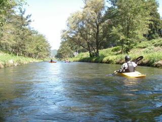 P9200023.JPG