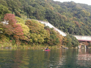 PA310026.JPG