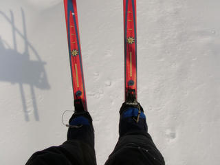 P1250151.JPG