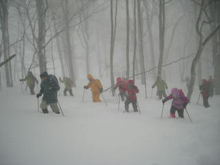 DSCN3685.JPG