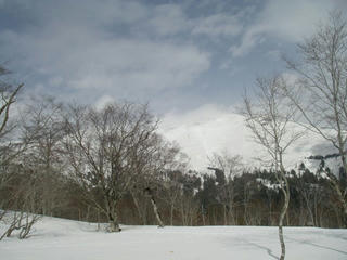 IMGP8573.JPG