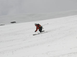 P4290195.JPG