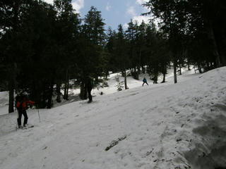 P4290255.JPG