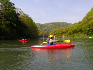 P5030273.jpg