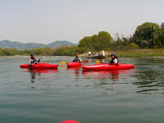 P5040156.jpg