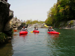 P5040157.jpg