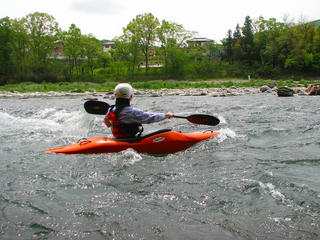 IMG_2964.jpg