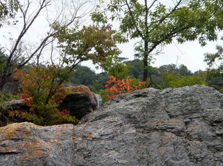 PA140055.jpg