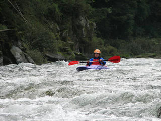 IMG_4524.jpg