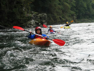 IMG_4529.jpg