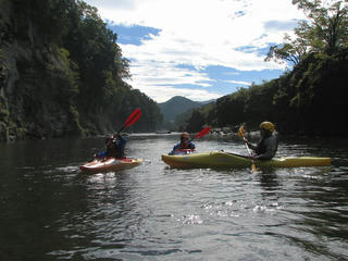 IMG_4532.jpg
