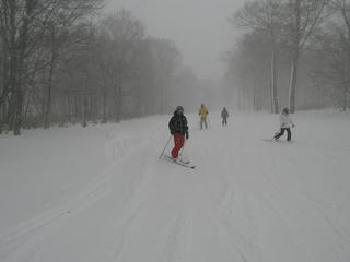 PC290099.jpg