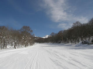 P2020001.jpg