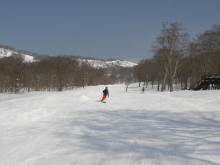 P2040064.jpg