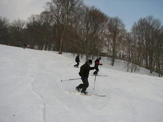 IMG_5040.jpg