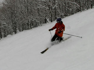 IMG_5316.jpg