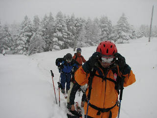 IMG_5509.jpg